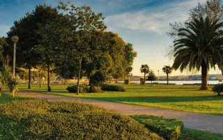 Expropiación análisis Sada