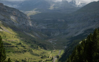 Cómo obtener tu expropiación rogada en Aragón