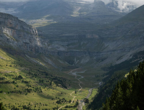 ¿Cómo obtener tu expropiación rogada en Aragón?
