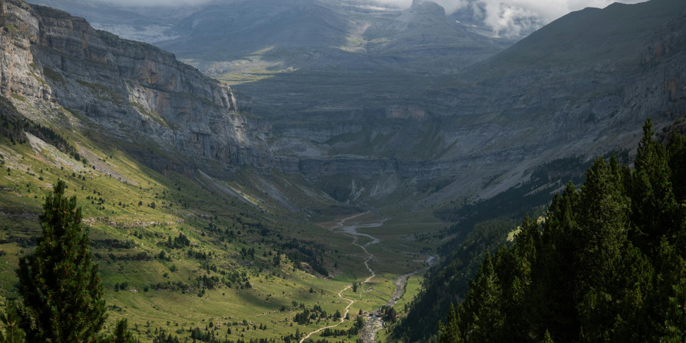¿Cómo obtener tu expropiación rogada en Aragón?