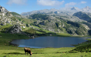 ¿Cómo obtener tu expropiación rogada en Asturias?