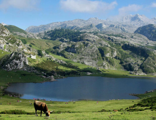 ¿Cómo obtener tu expropiación rogada en Asturias?