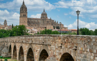 Cómo obtener tu expropiación rogada en Castilla y León