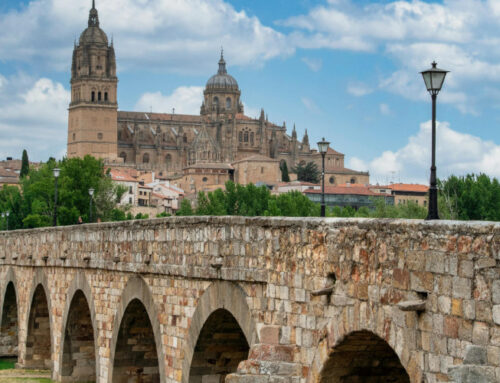 ¿Cómo obtener tu expropiación rogada en Castilla y León?