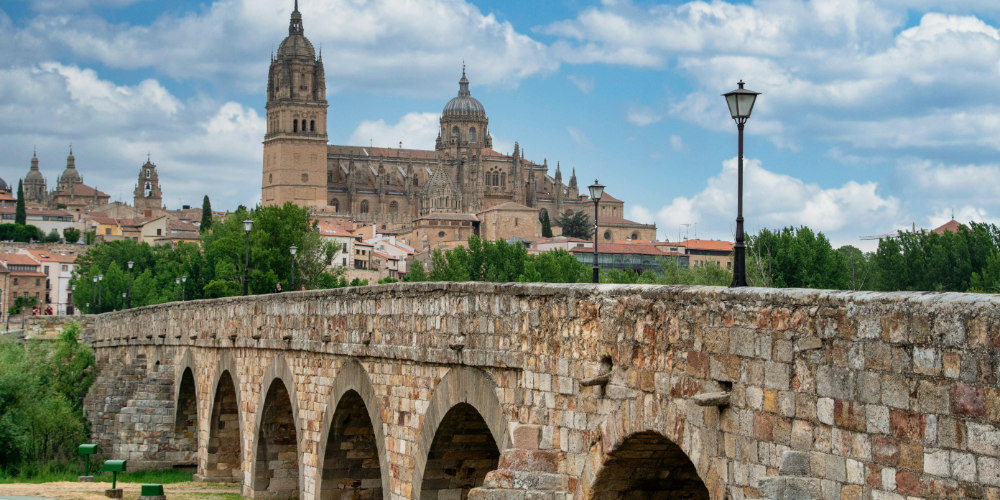 ¿Cómo obtener tu expropiación rogada en Castilla y León?